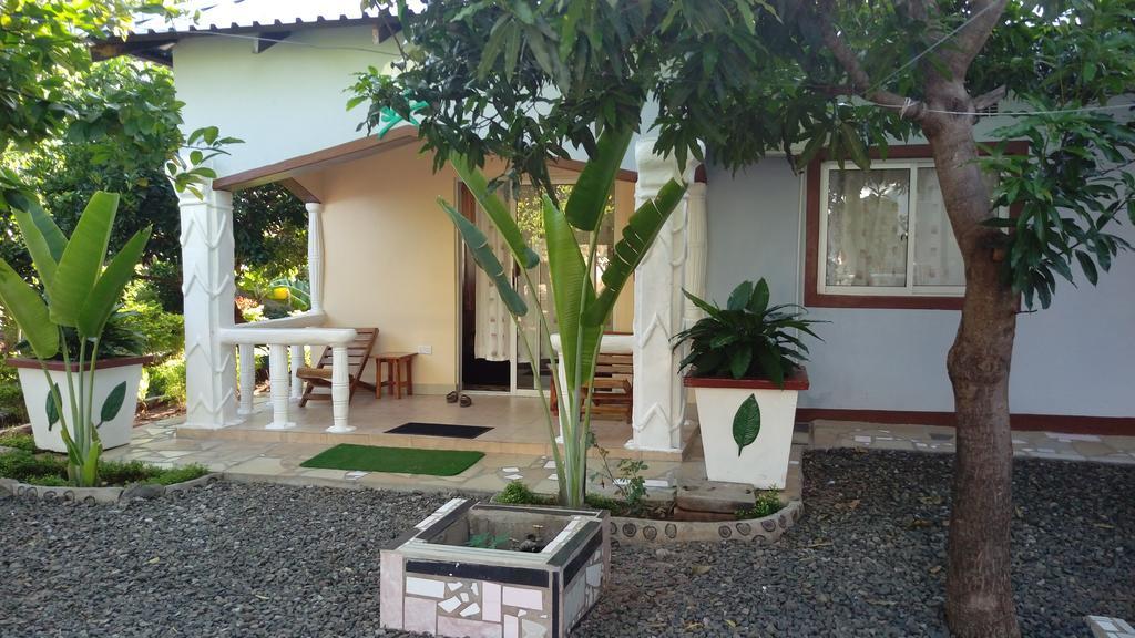 White Rose Lodge Livingstone Esterno foto